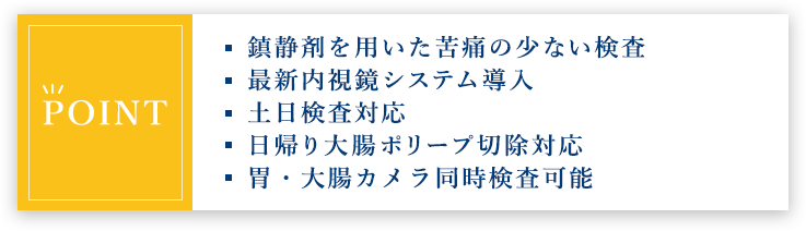 【POINT】鎮静剤を用いた苦痛の少ない検査/最新内視鏡システム導入/土日検査対応/日帰り大腸ポリープ切除対応